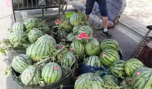 汾阳吃瓜最新事件爆料视频,最新爆料视频揭秘惊人内幕